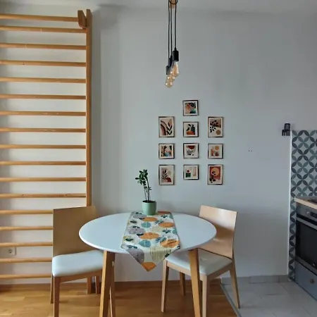 N&d Colorful Escópia