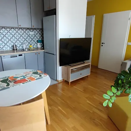 N&d Colorful Escópia